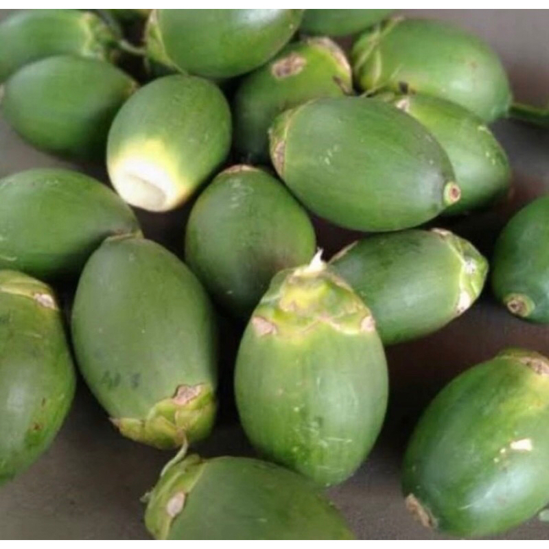 

Buah pinang muda 1 kg