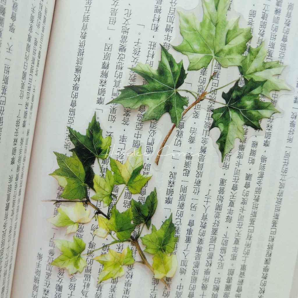 

Sticker PET dedaunan hutan untuk journaling scrapbooking