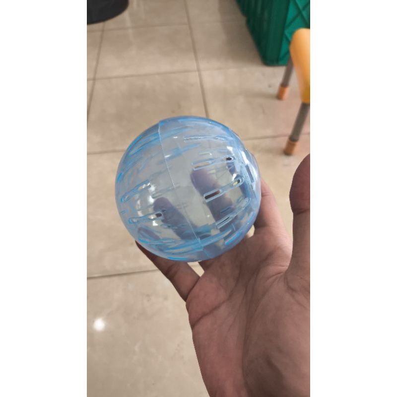 bola hamster