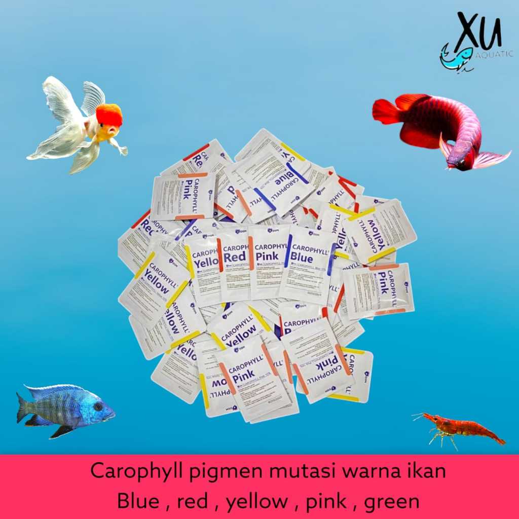 Pigmen Mutasi Warna ikan Blue Yellow Pink Red / obat ikan pengangkat warna ikan hias / Mutasi Warna 