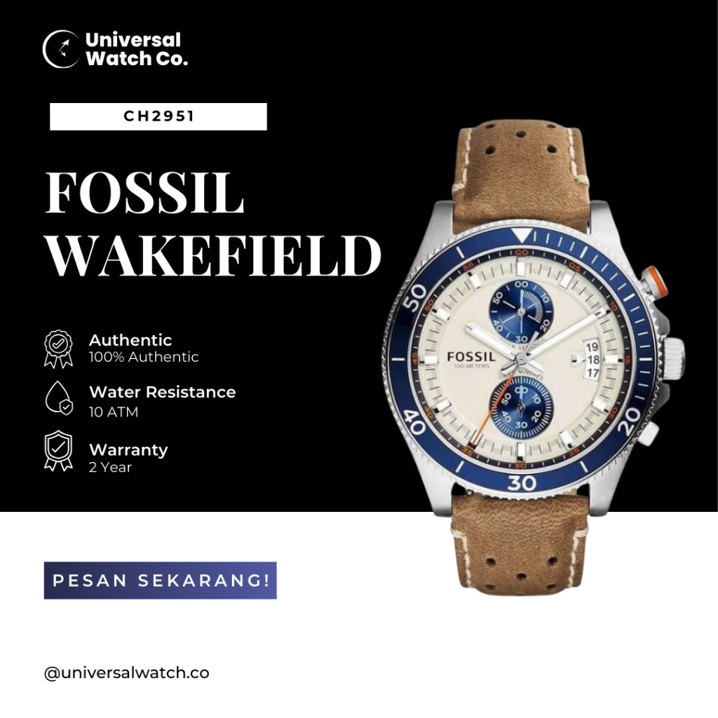 Jam Tangan Pria Wakefield CH2951 Watch