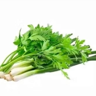 

Sayuran daun bawang & seledri fresh
