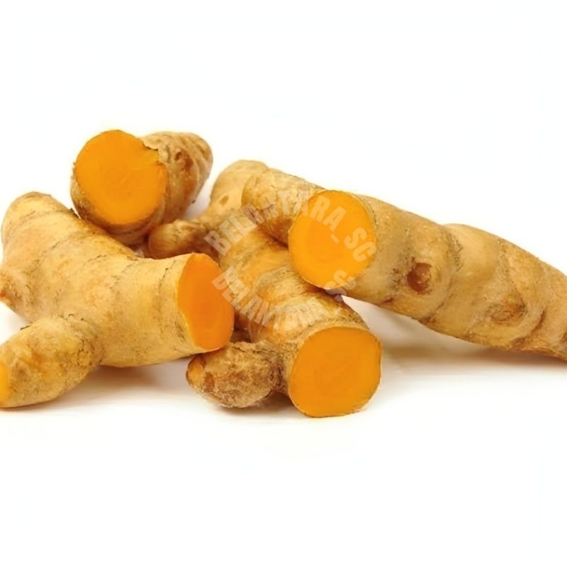 

Kunyit/Kunir fresh segar 1kg