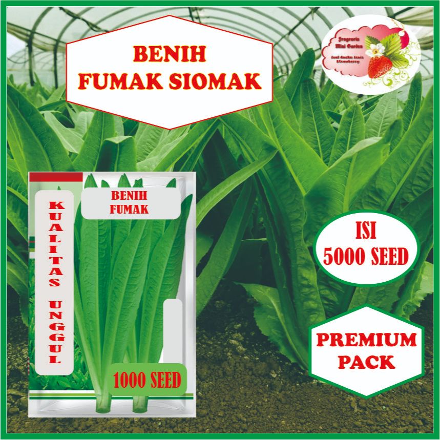 BENIH FUMAK SIOMAK ISI 5000 BIJI