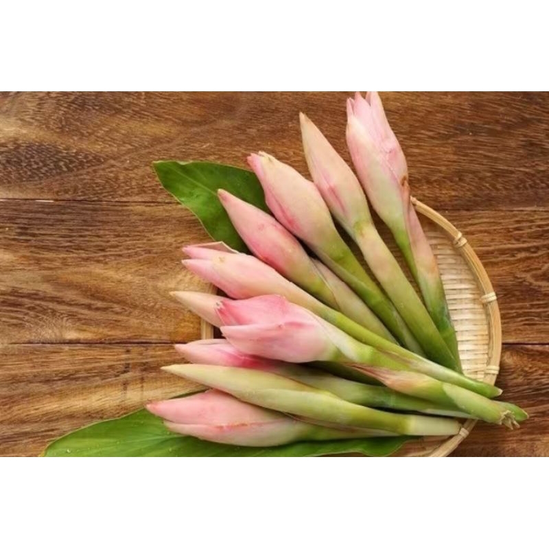 

Buah kecombrang segar per biji