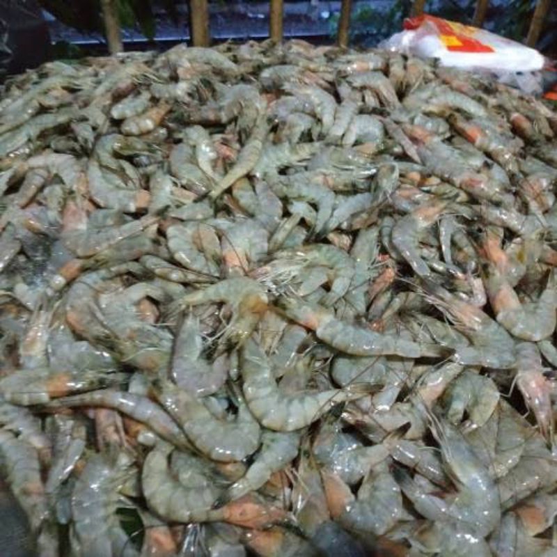 

Udang segar fresh pasar ikan flamboyan/ udang vaname 500gram