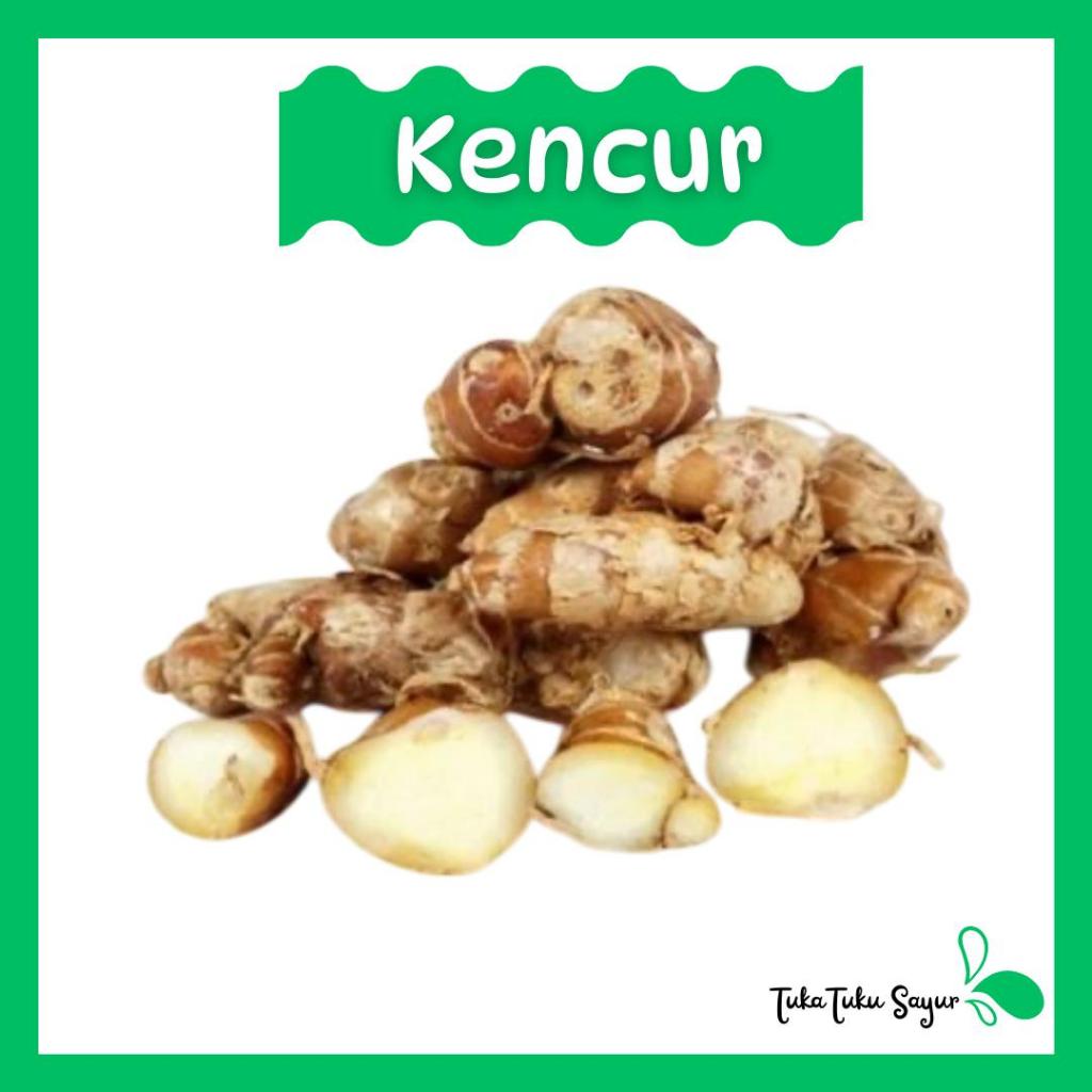 

KENCUR / CIKUR 50gr - TukaTuku Sayur