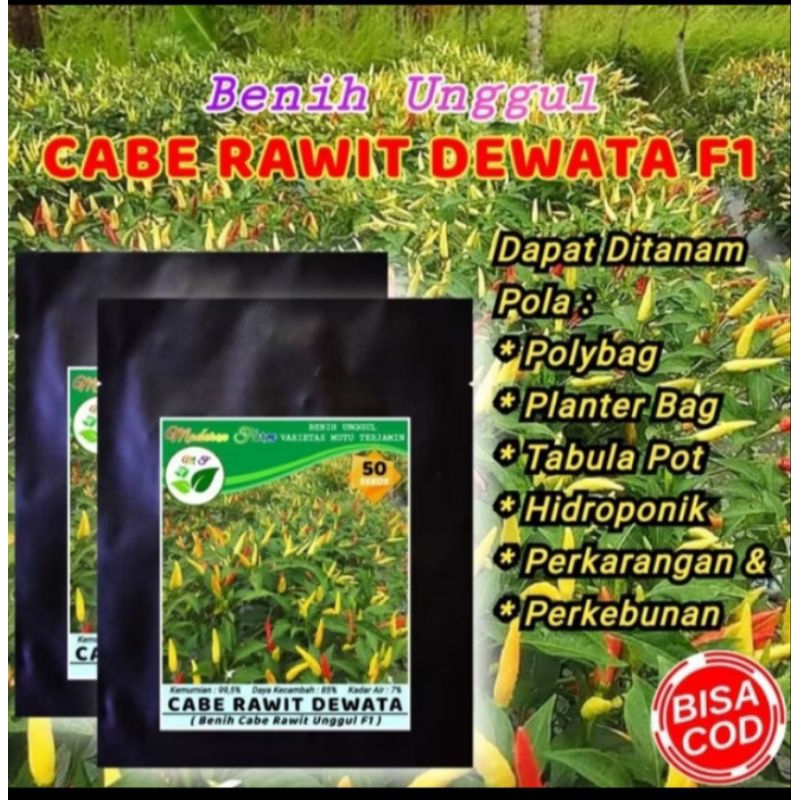 Bibit Tanaman Cabe , Buah Dan Sayur Jual Isi Dalam