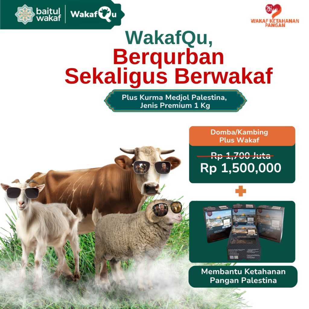 

Qurban/ kurban Kambing / Domba plus wakaf