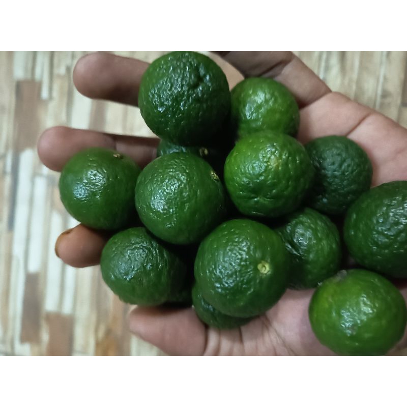 

jeruk sambel jeruk limau jeruk limo 250g