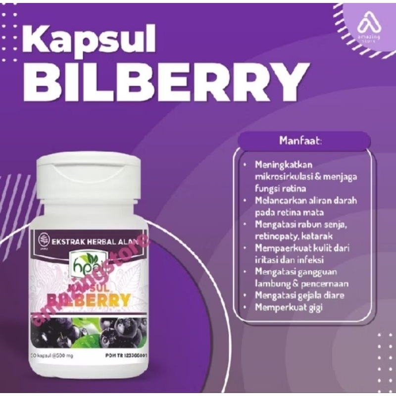 BILBERRY HNI HERBAL KESEHATAN MATA
