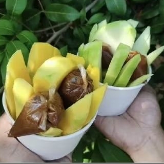 

Petis Ikan Tuna 30 gram