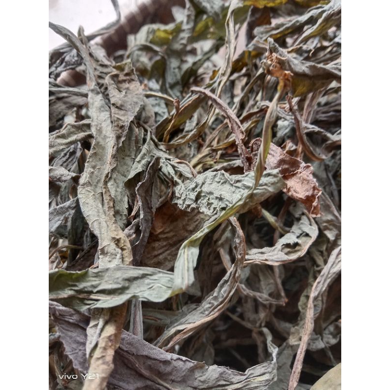 

daun tempuyung kering rempah herbal alami 100/gram