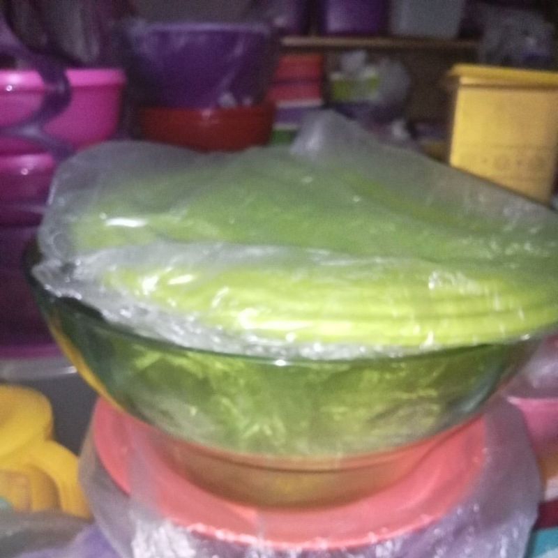 eleganzia bowl 4',6L