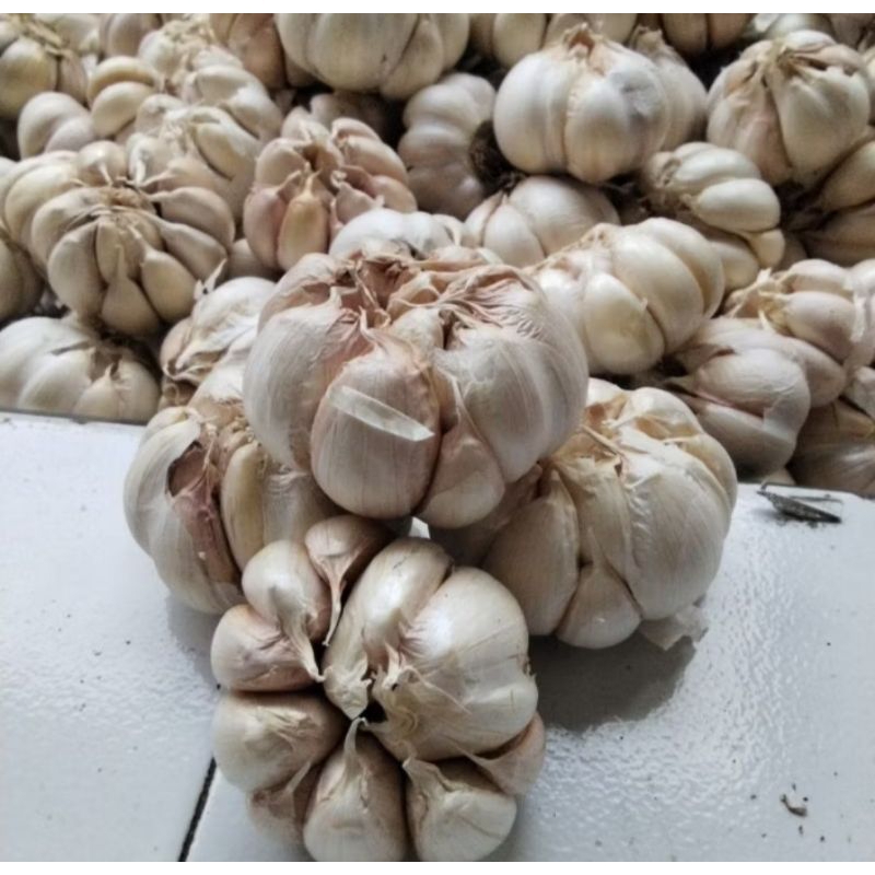 

bawang putih 500 gr