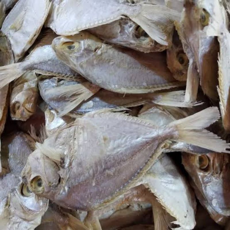 

Ikan asin petek fresh 1kg
