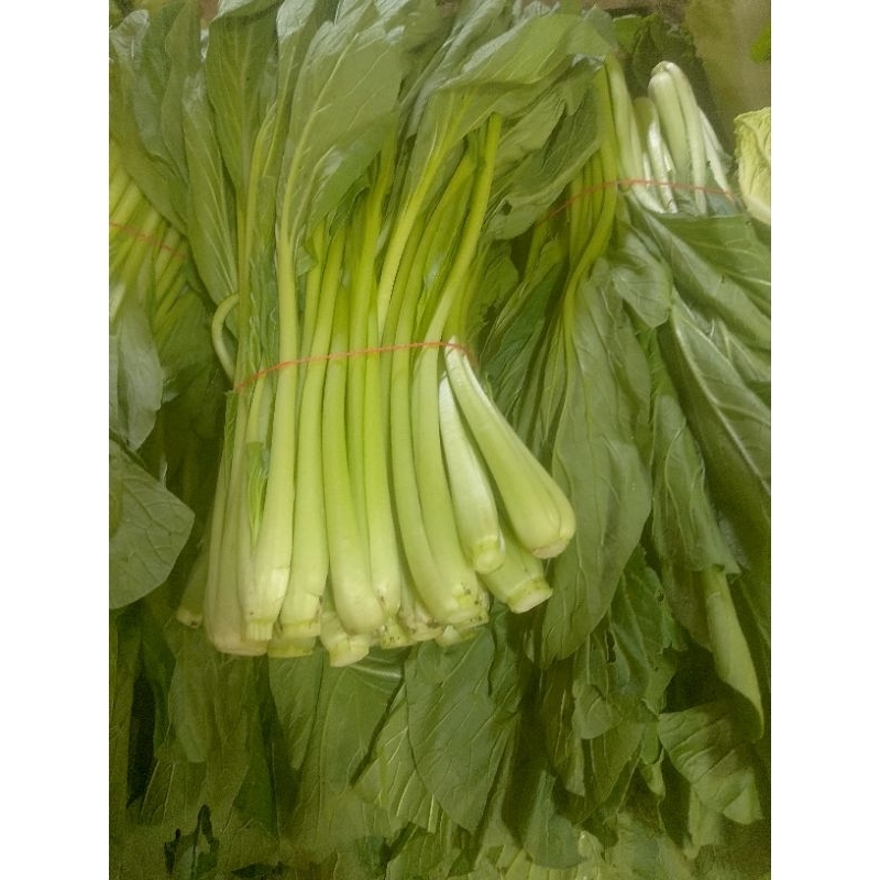 

Caesim Sawi hijau, sayuran segar