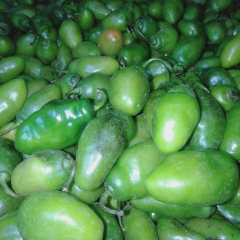 

Cabe Gendot Segar Isi 500gr - paket hemat buah/sayuran cabe gendot segar toraja
