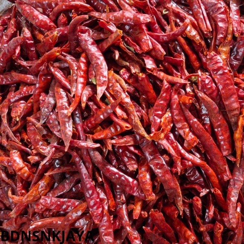 

RB cabe kering rawit teja merah pedas india