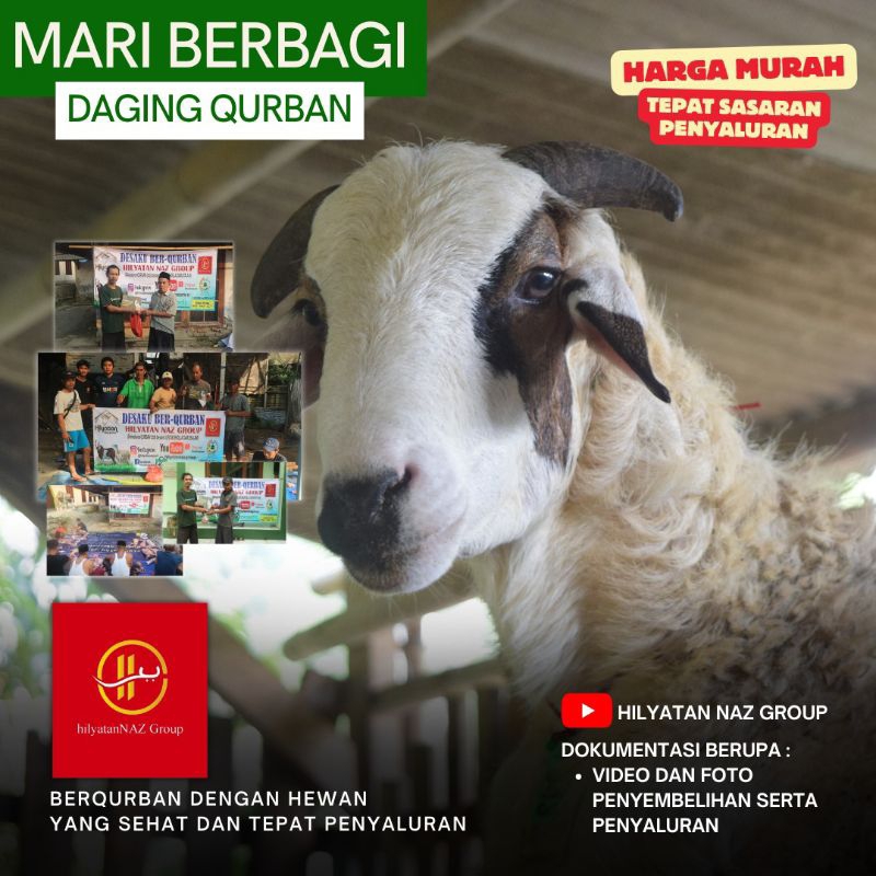 

Sebar Qurban domba kambing