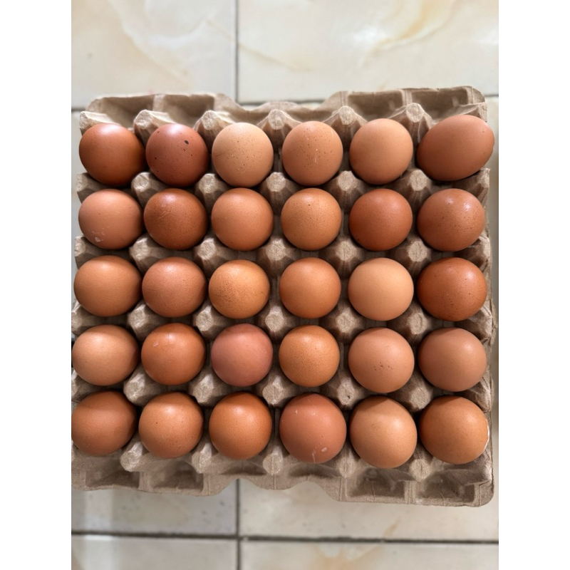 

TELUR AYAM FRESH KANDANG GRADE ️✅