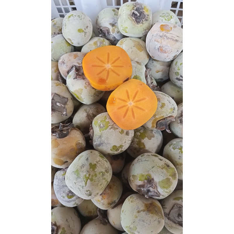 

buah kesemek | kesemek manis 1kg