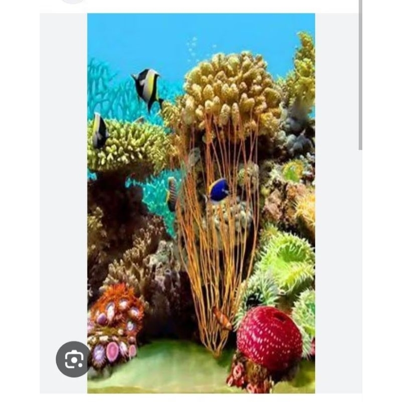 Stiker aquarium ukuran lebar 30 tinggi 70 untuk bisa request motif lain
