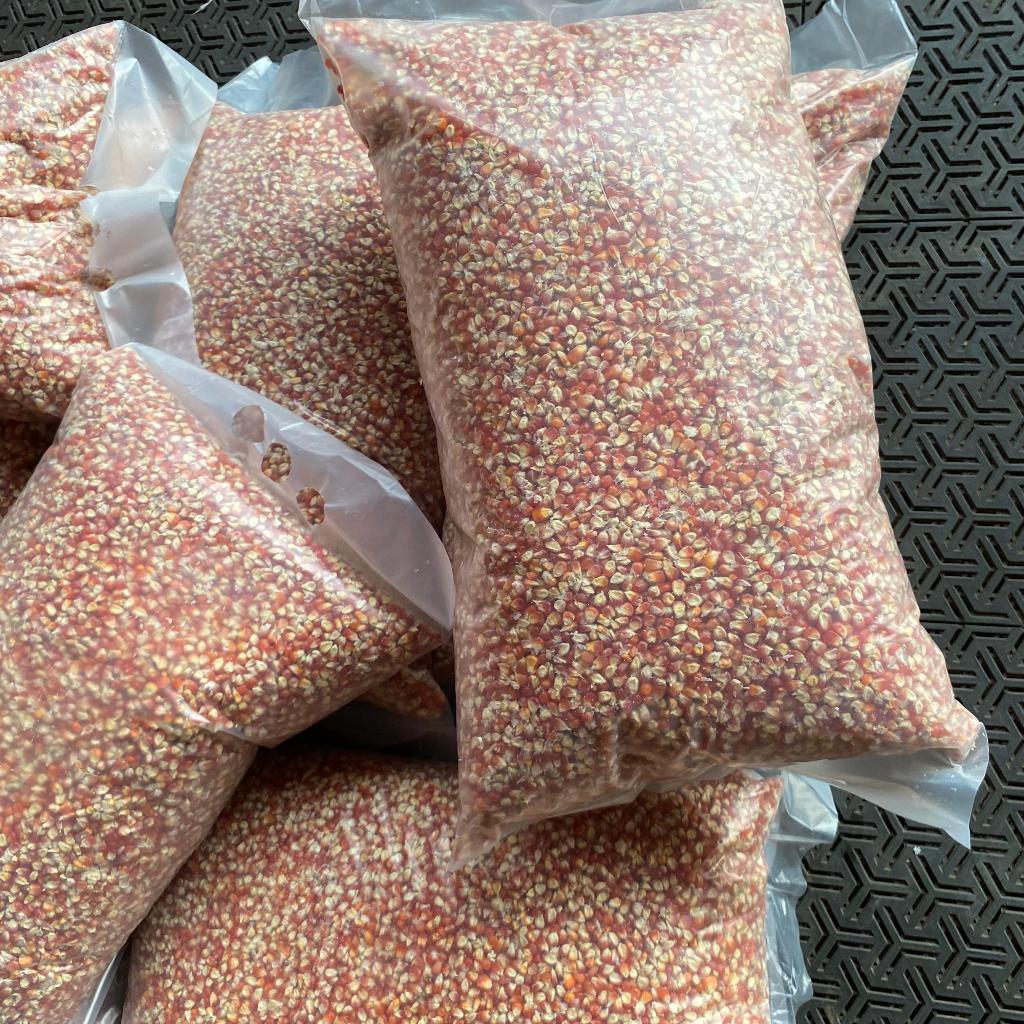 Jagung Kristal Pakan Burung Dara Merpati Kemasan 5kg Cililin Super Merah