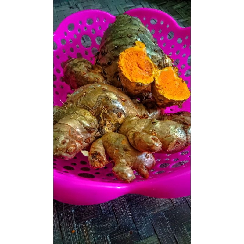 

TEMULAWAK super Grade A / 1 KG || SEGAR || Organik