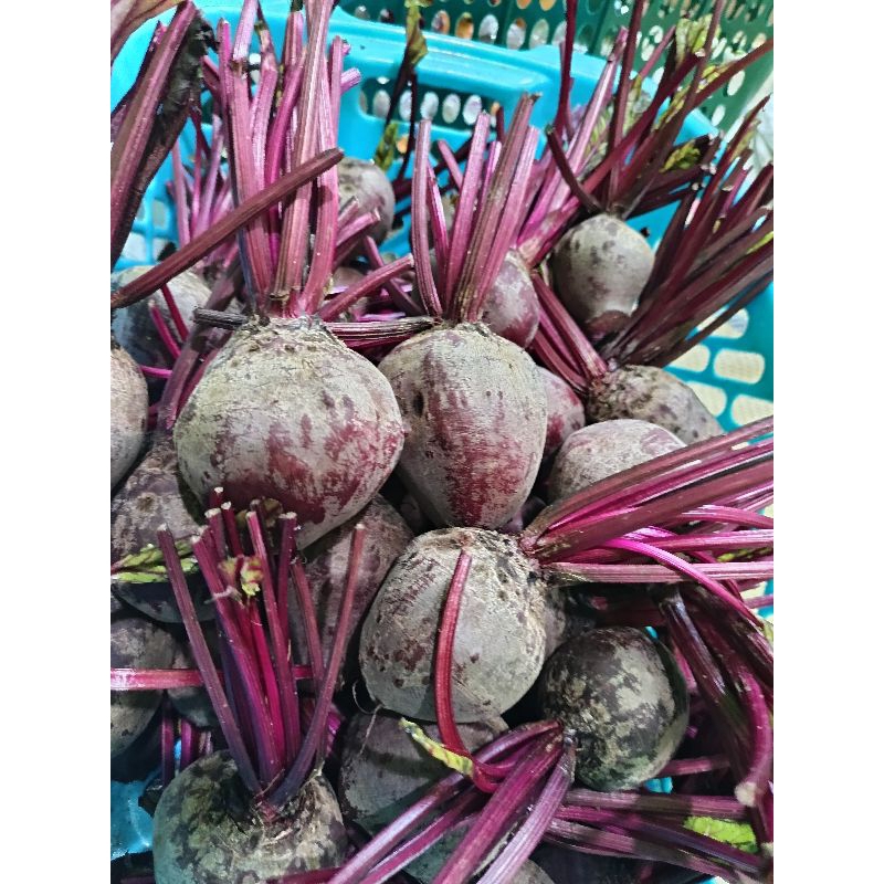 

buah bit beet root 1kg segar spek pasar