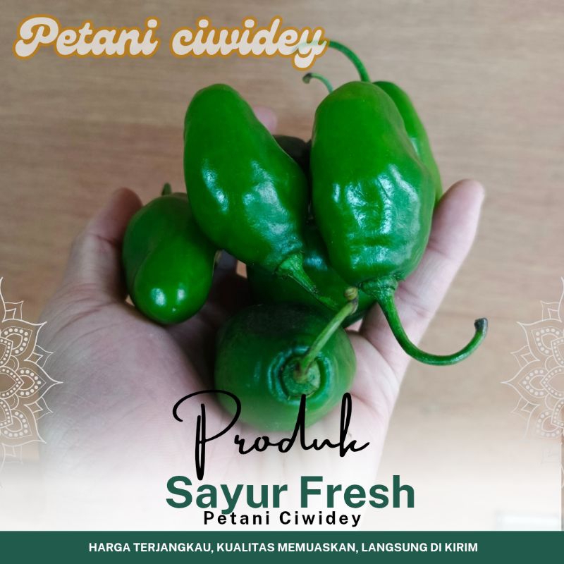 

Cabai GENDOT HIJAU pedas 1 kg cocok untuk sambal dan tumis