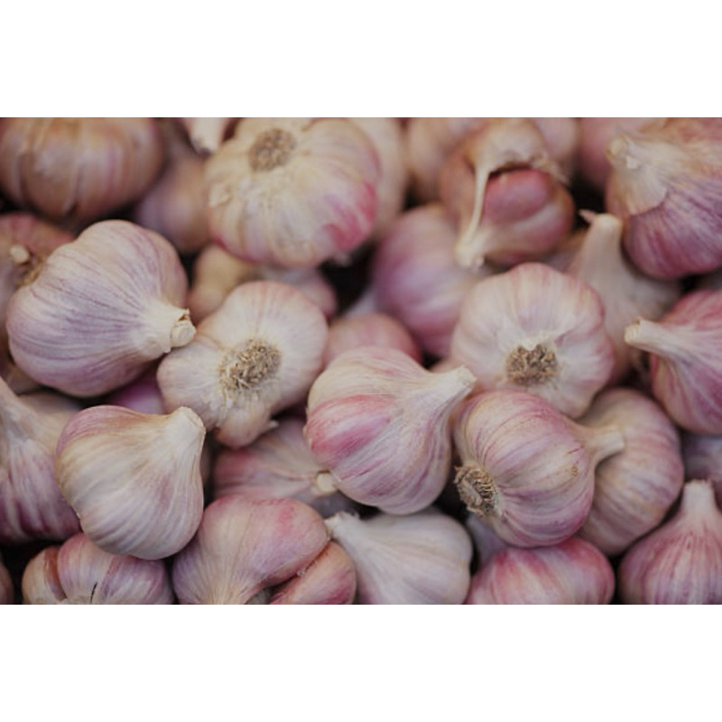 

Bawang Putih Grosir Tangerang (100gr 250gr 500gr 1kg)
