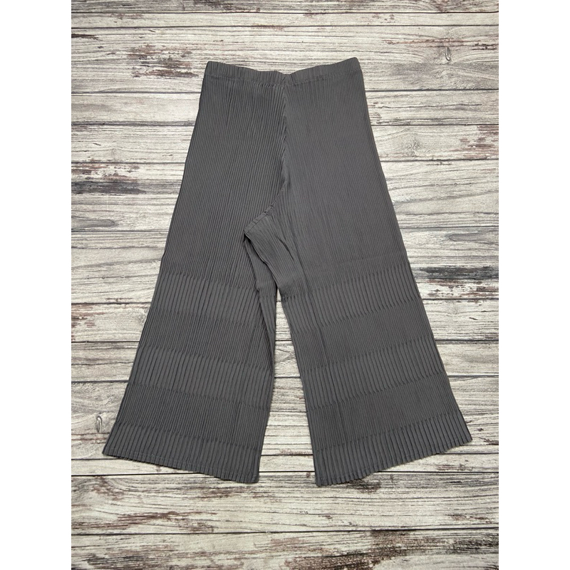 NETT‼️Pleatsme Issey Miyake Pleated Pants Panel Motifs