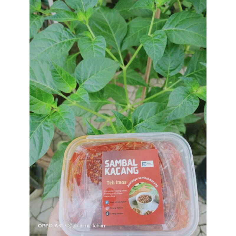 

sambel kacang/pecel