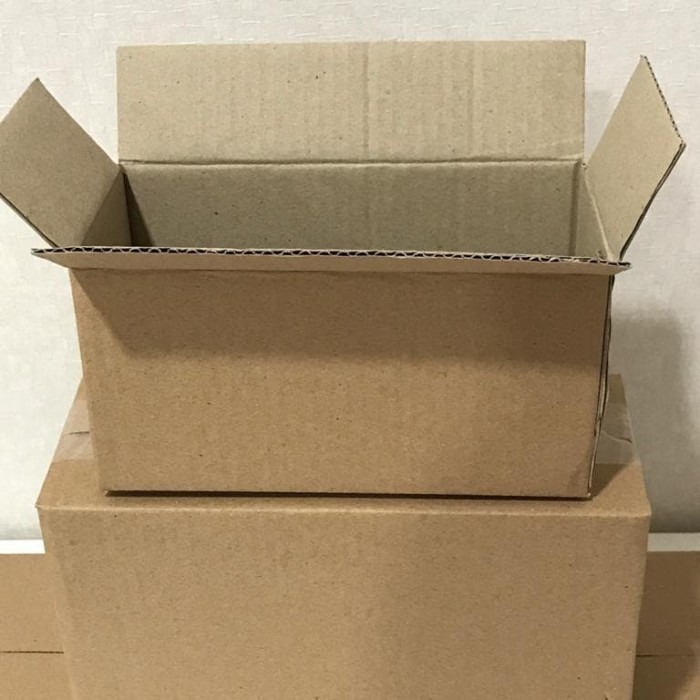 

custom kardus box polos baru uk 30x20x12 SHEET