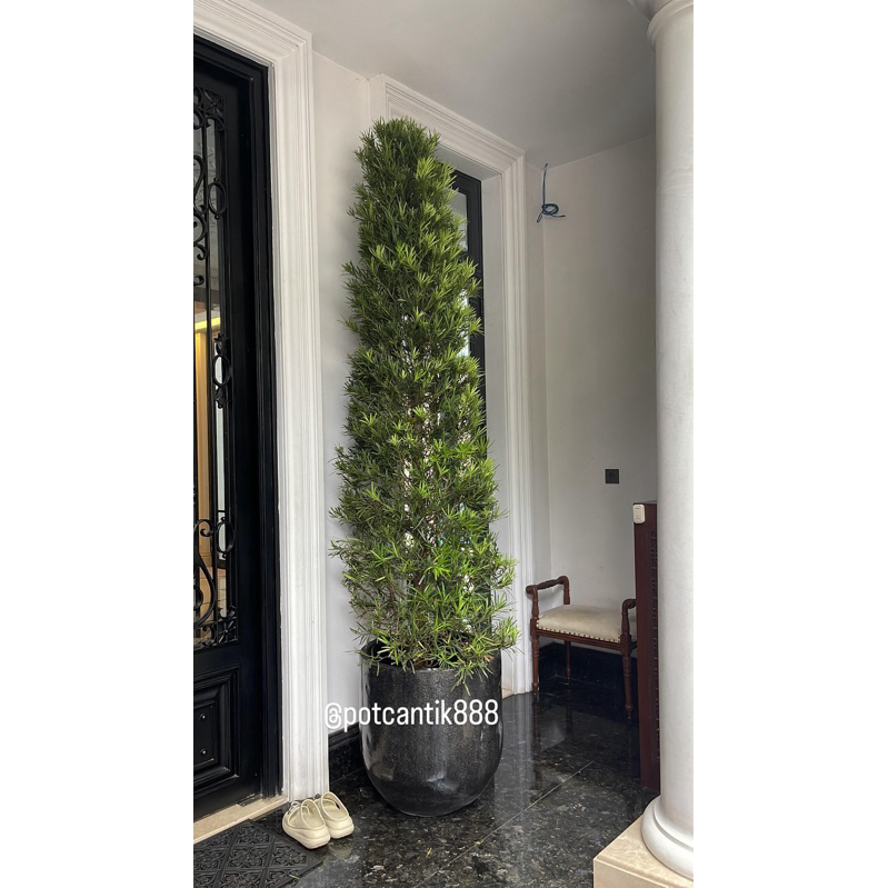 Pot teraso pot blong hitam glossy 60 x 60