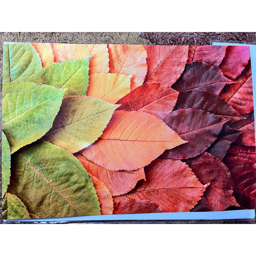 Cetak Kertas khusus Foto Ukuran A3 dan A3+ Premium Anti Air ( kertas Glossy ) Tanpa frame