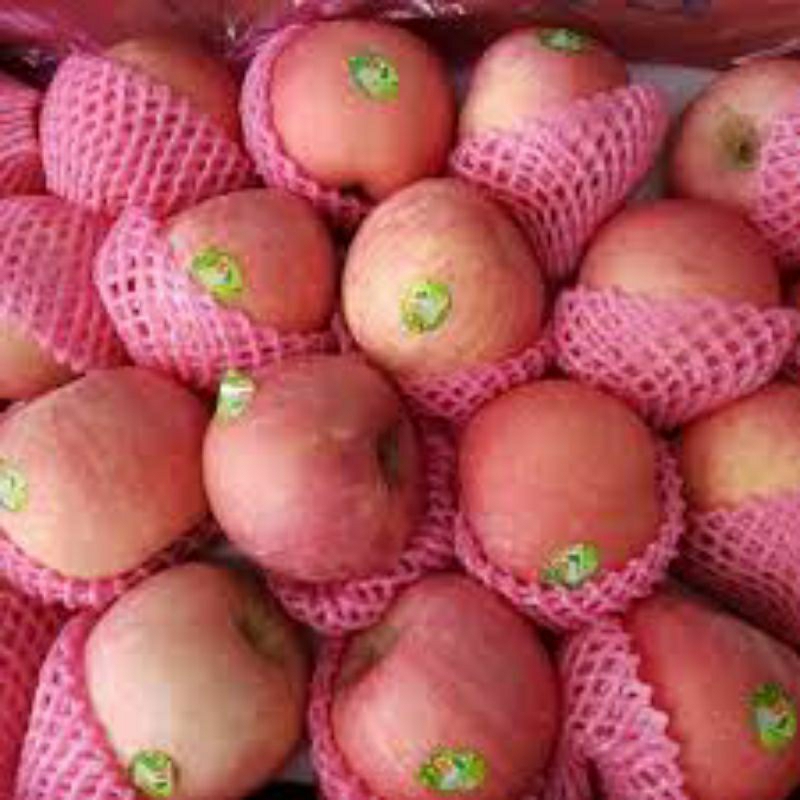

buah apel Fuji by blogger