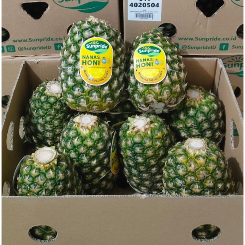 

Nanas Honi Sunpride/Pinaepple Honi/Buah Segar