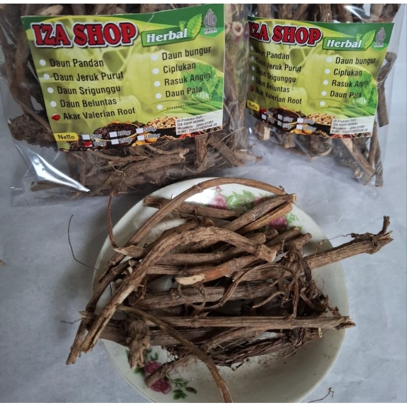 

Valerian Root / Akar Batang Valerian Kering 50/100gr