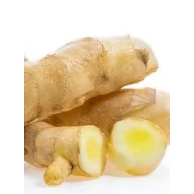 

kunyit putih segar 1kg