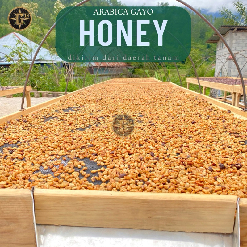 

KOPI GAYO SWEET HONEY ARABICA ACEH ARABIKA GREEN BEAN 1 Kg