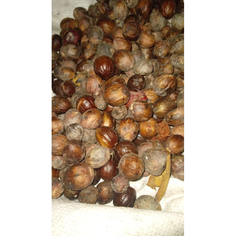 

rempah biji pala tua kering100gr