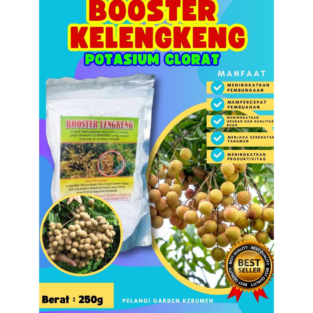 KUALITAS TERBAIK ! Booster Buah Kelengkeng Murni 1Kg, Booster Buah Kelengkeng Merah