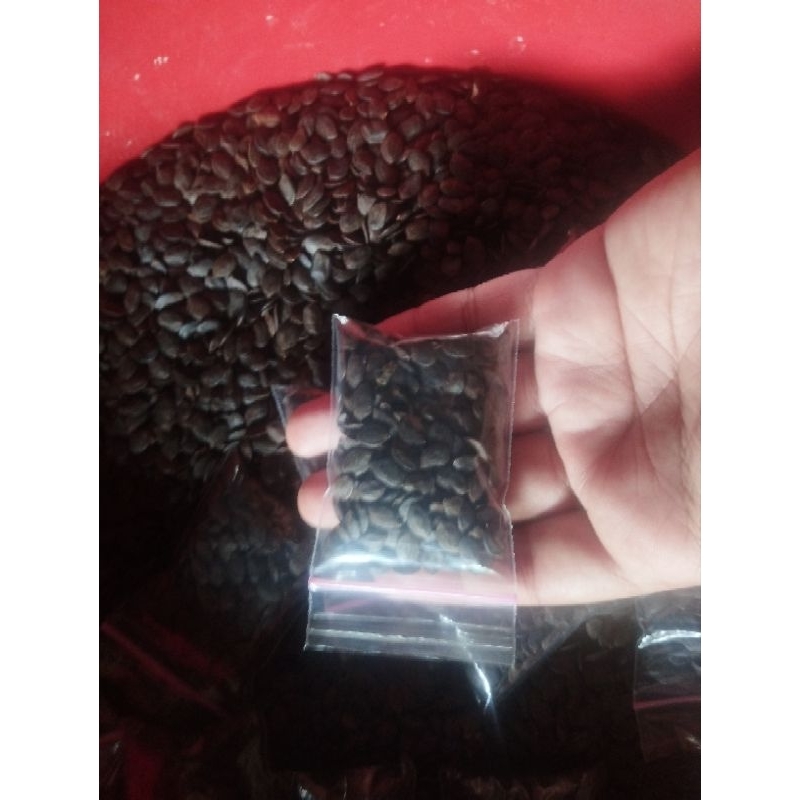 

BENIH KALIANDRA MERAH 15 GRAM