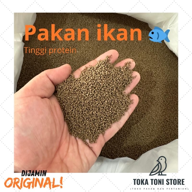 Pelet pakan bibit ikan kecil super (1kg) ikan hias koki glofish cupang neon cardinal rednose dll