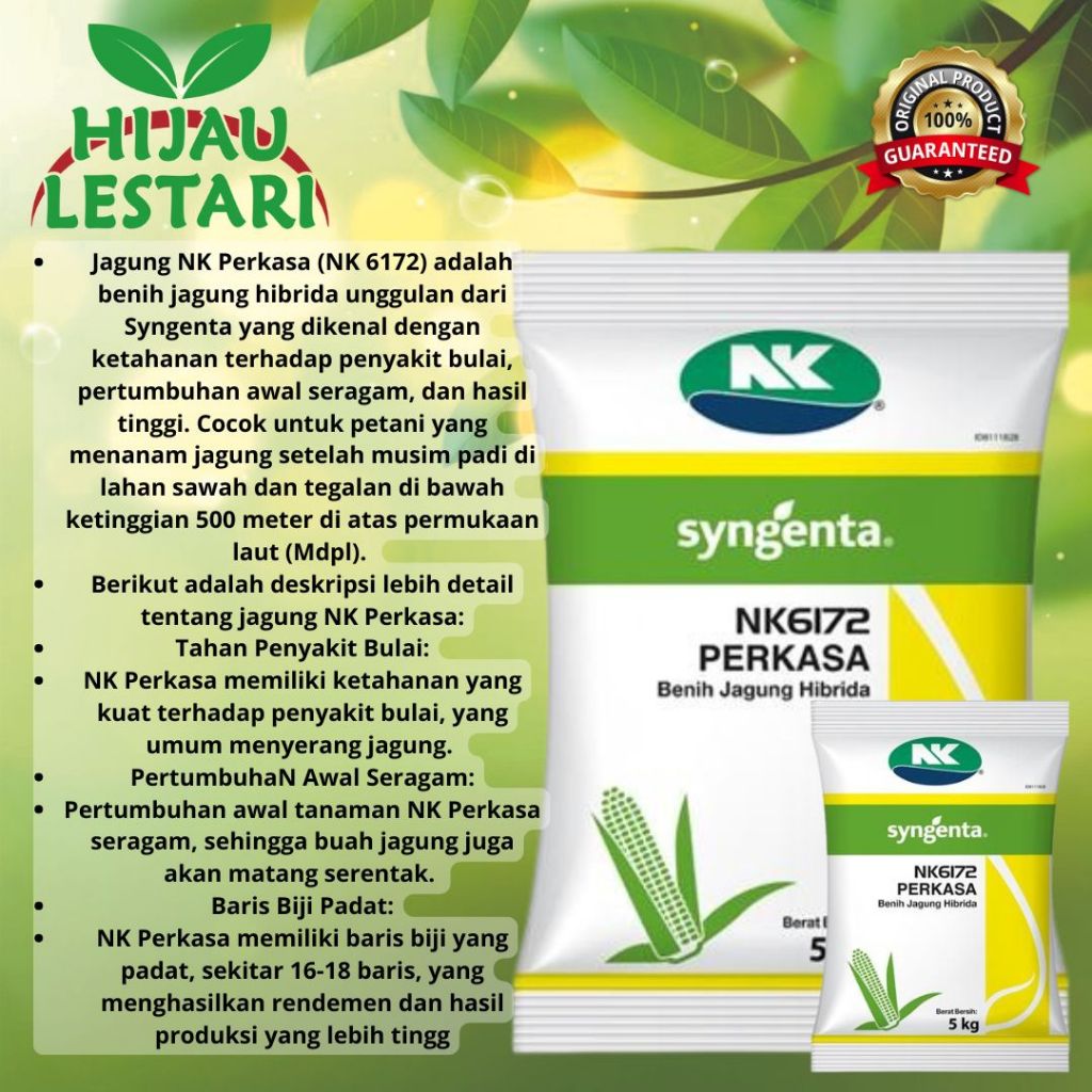 Benih JAGUNG HIBRIDA Nk 6172 Perkasa 1KG #bibit Jagung#jagung Perkasa#bibit Nk Perkasa#bibit Jagung 