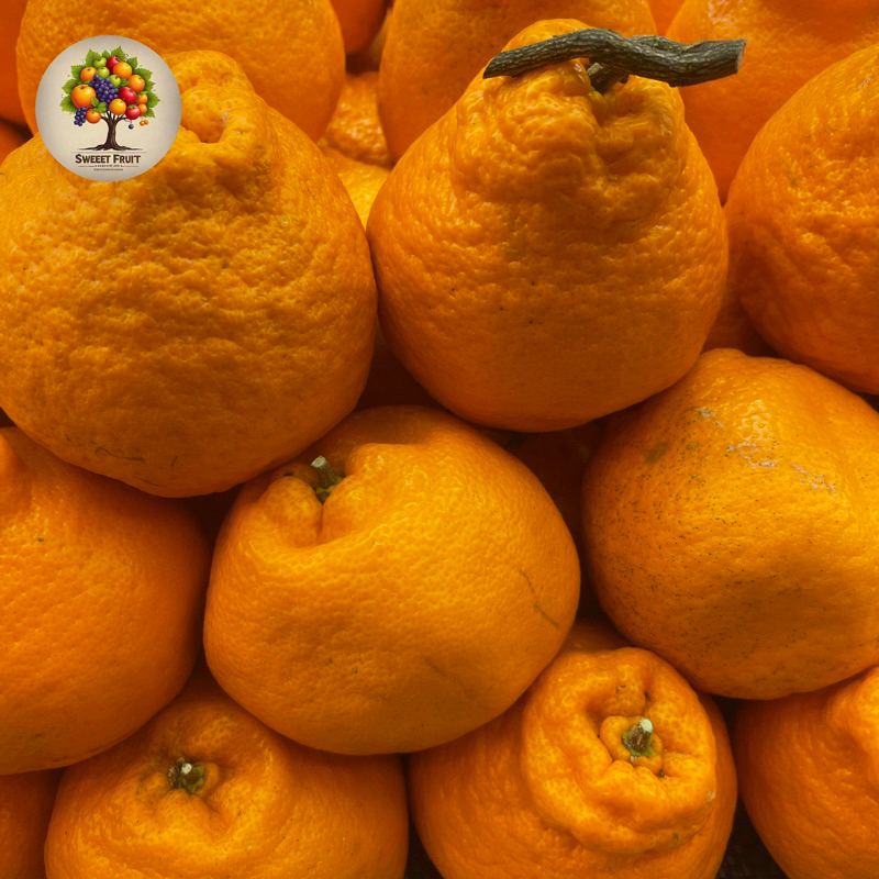 

Jeruk Dekopon Jepang seedless | Jeruk dekopon jepang tanpa biji fresh 1 kg