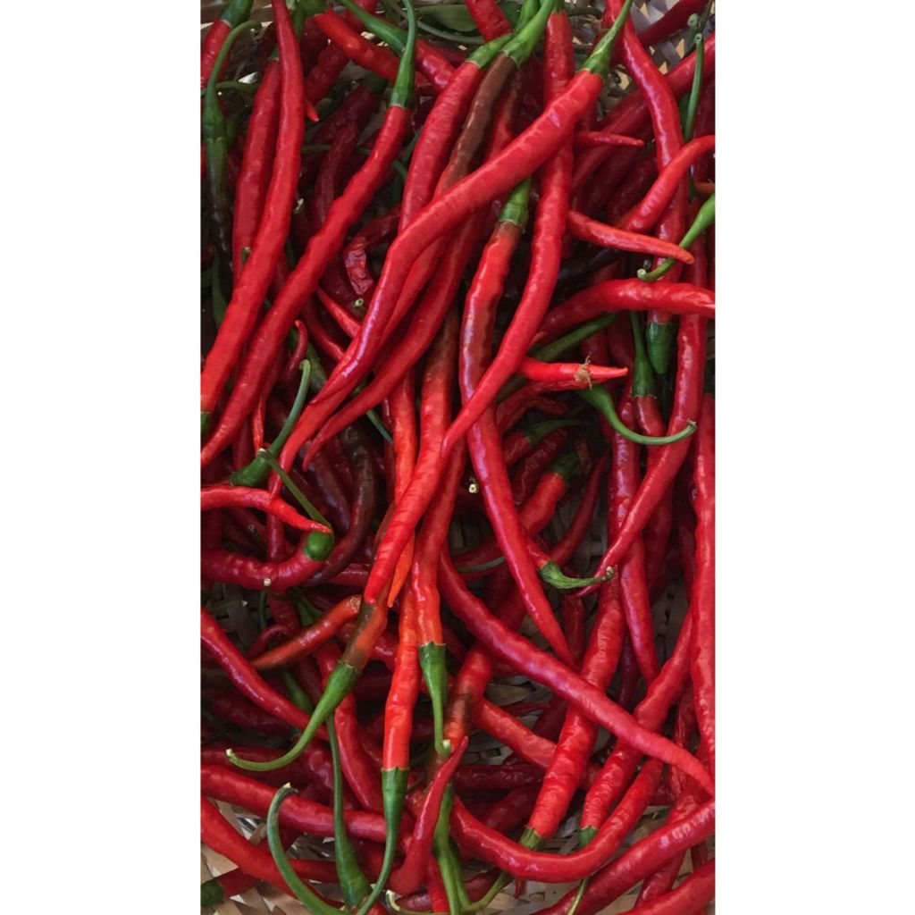 

CABE MERAH KERITING 125g 25og 500g