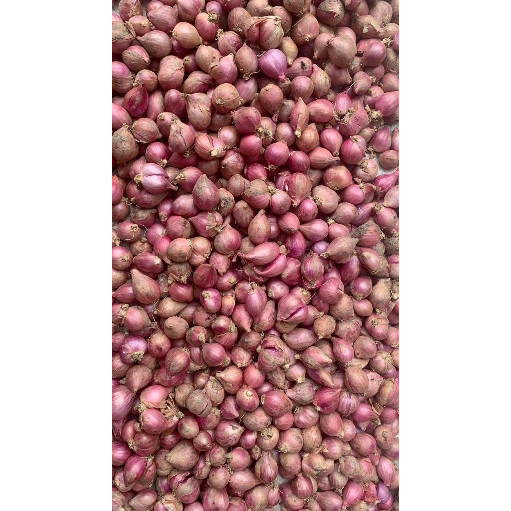 

BAWANG MERAH 125g 250g 500g